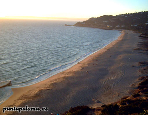 playa de punta paloma