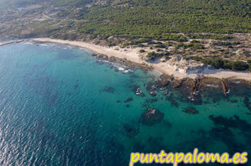 punta_paloma